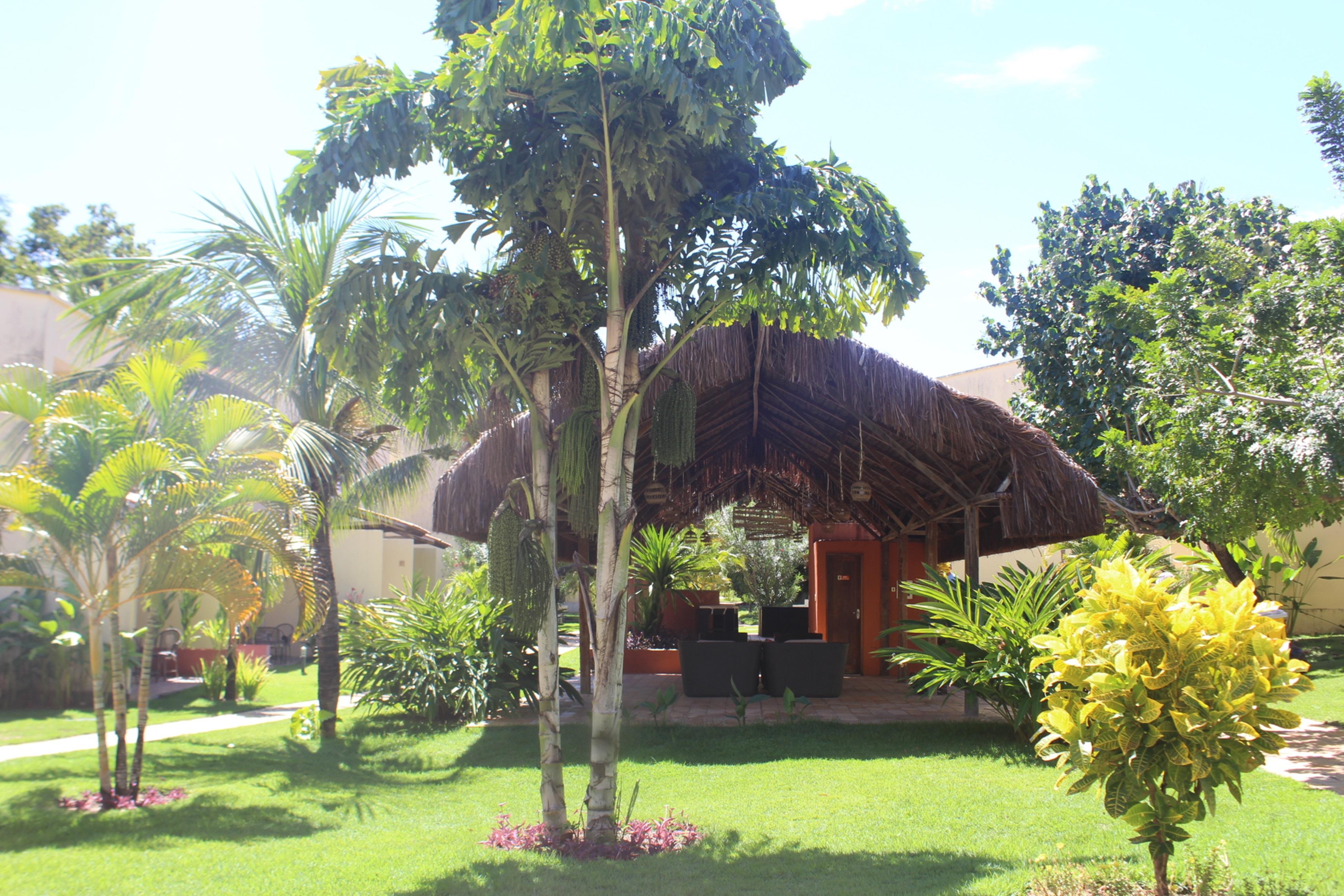 Hotel Pipa Atlantico Praia de Pipa Exterior foto